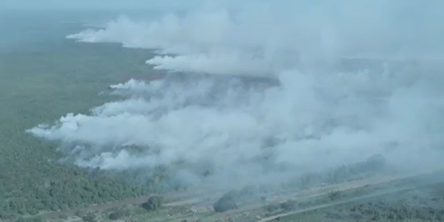 Description or Alt Text