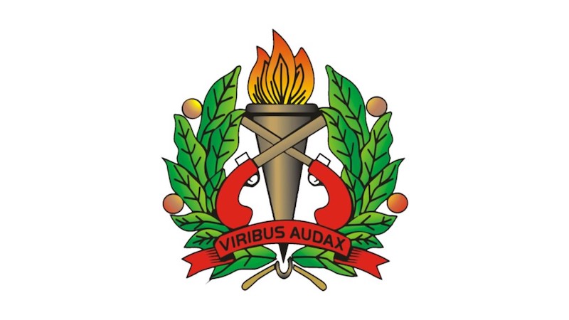 Description or Alt Text