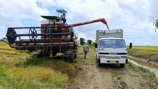 Description or Alt Text