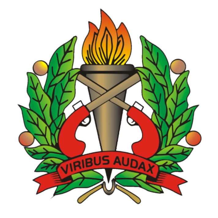 Description or Alt Text