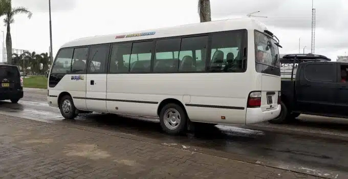 Description or Alt Text
