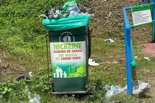 Description or Alt Text