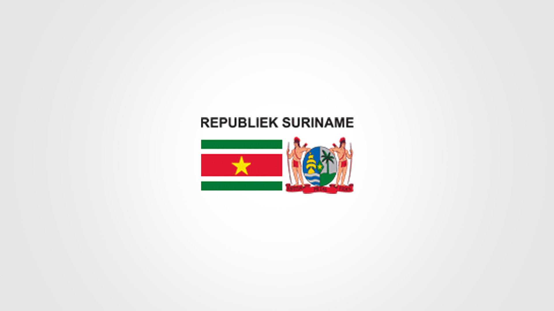 Description or Alt Text